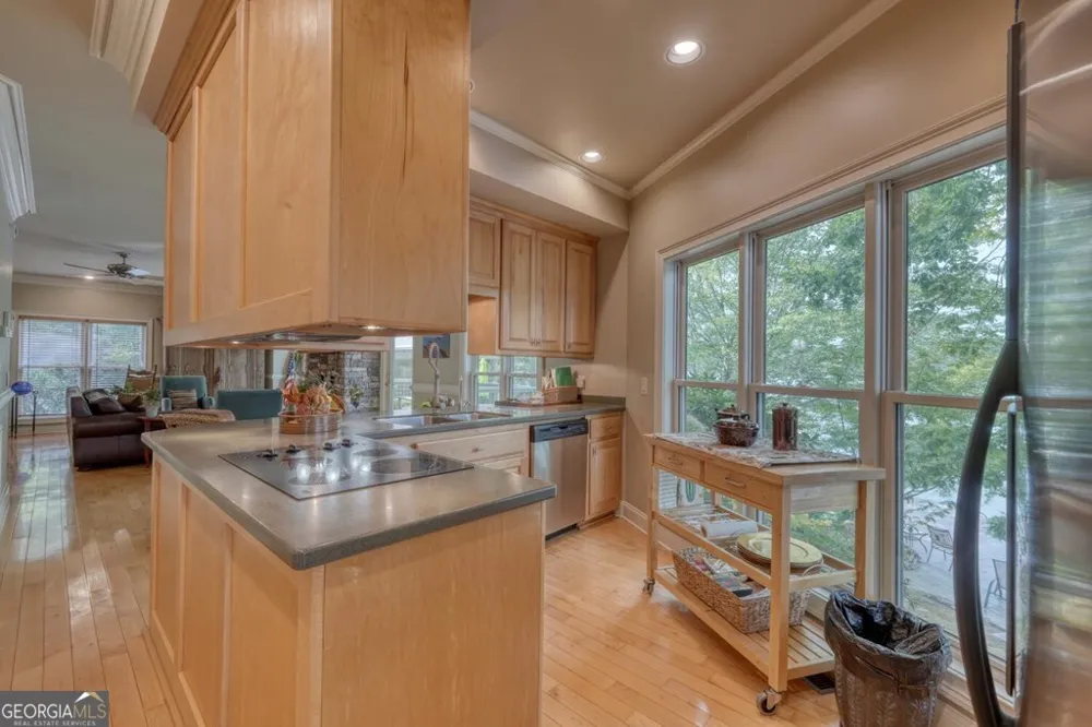 2515 Leisure LN Young Harris, GA 30582