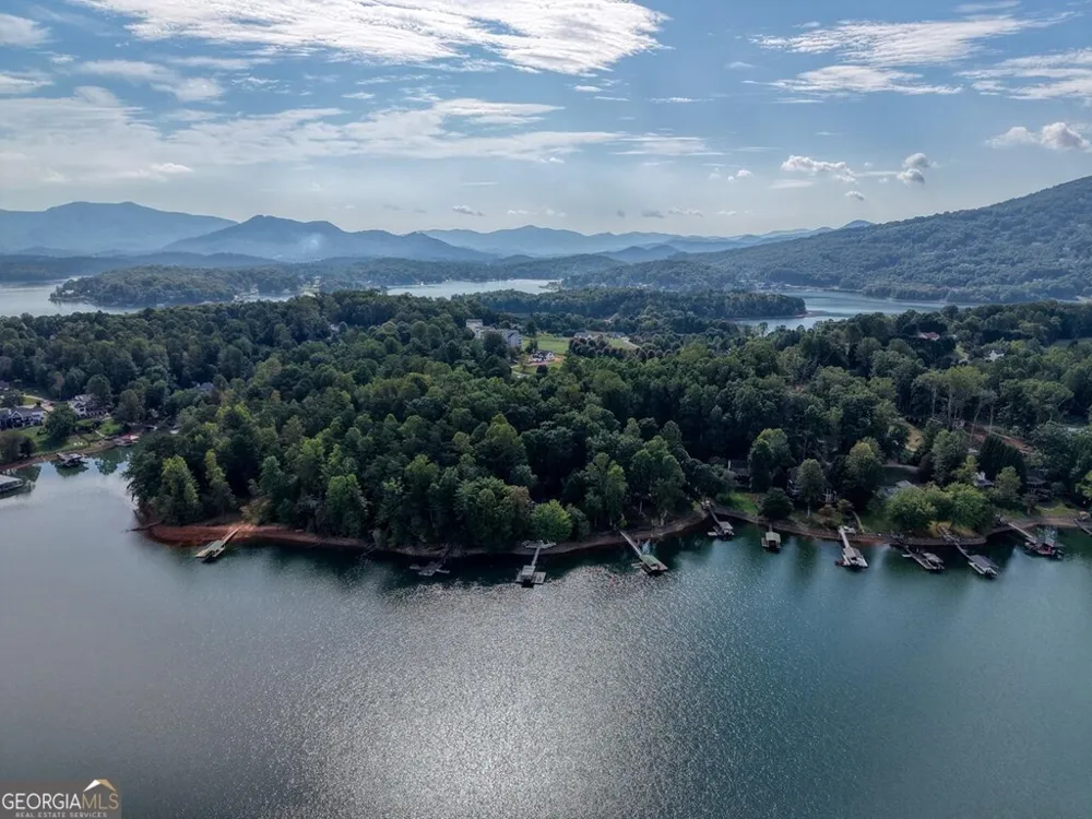 2515 Leisure LN Young Harris, GA 30582