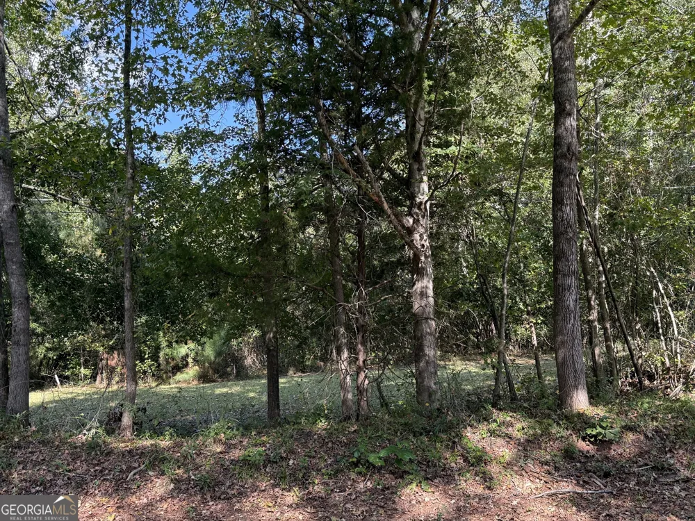 0 Hudson Hamilton, GA 31811