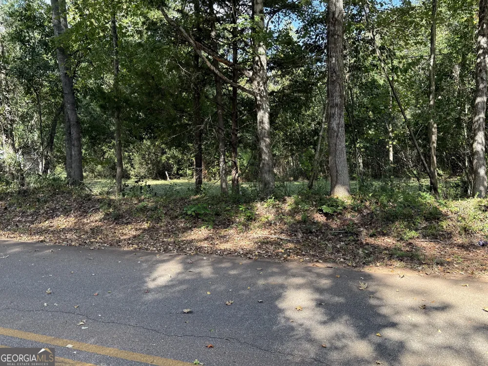 0 Hudson Hamilton, GA 31811