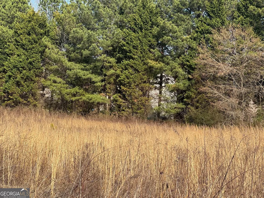 0 Bay View DR Villa Rica, GA 30180
