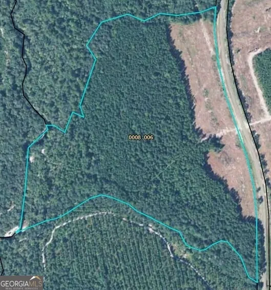 0 State Road 185 St. George, GA 31562