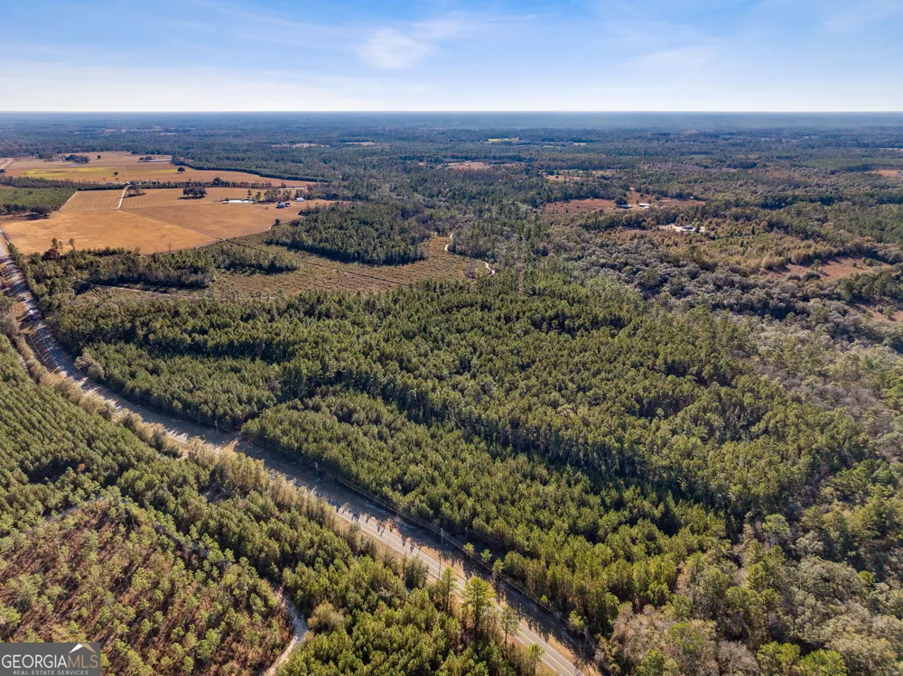 0 State Road 185 St. George, GA 31562