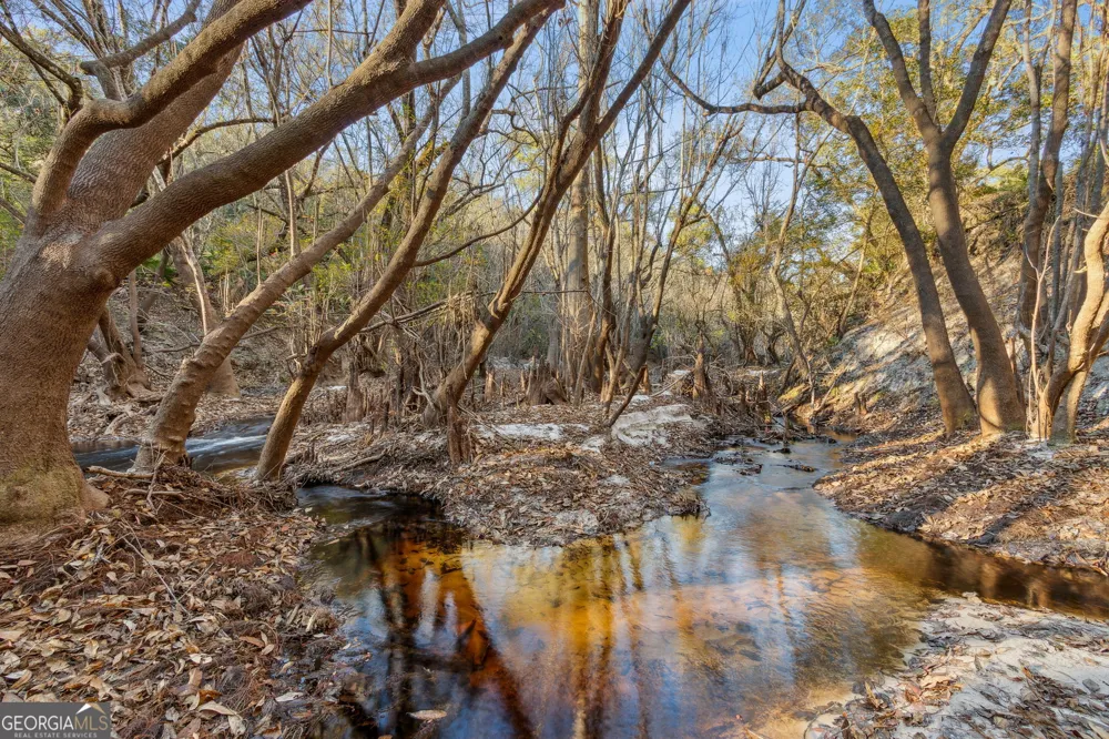 0 State Road 185 St. George, GA 31562