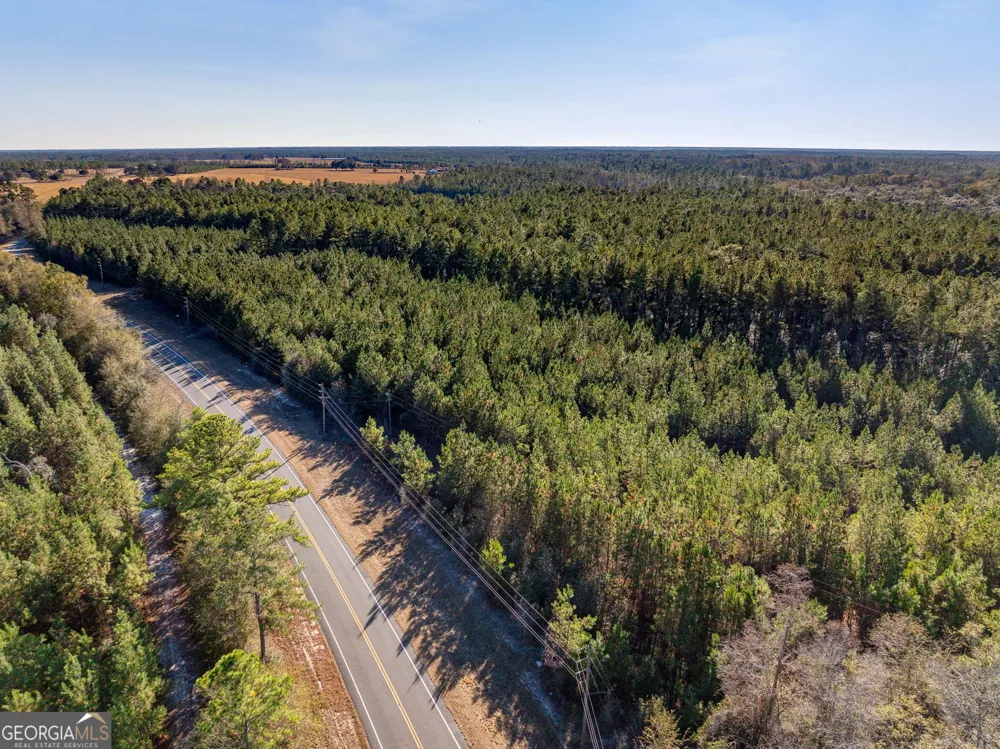 0 State Road 185 St. George, GA 31562