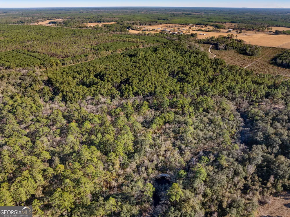0 State Road 185 St. George, GA 31562