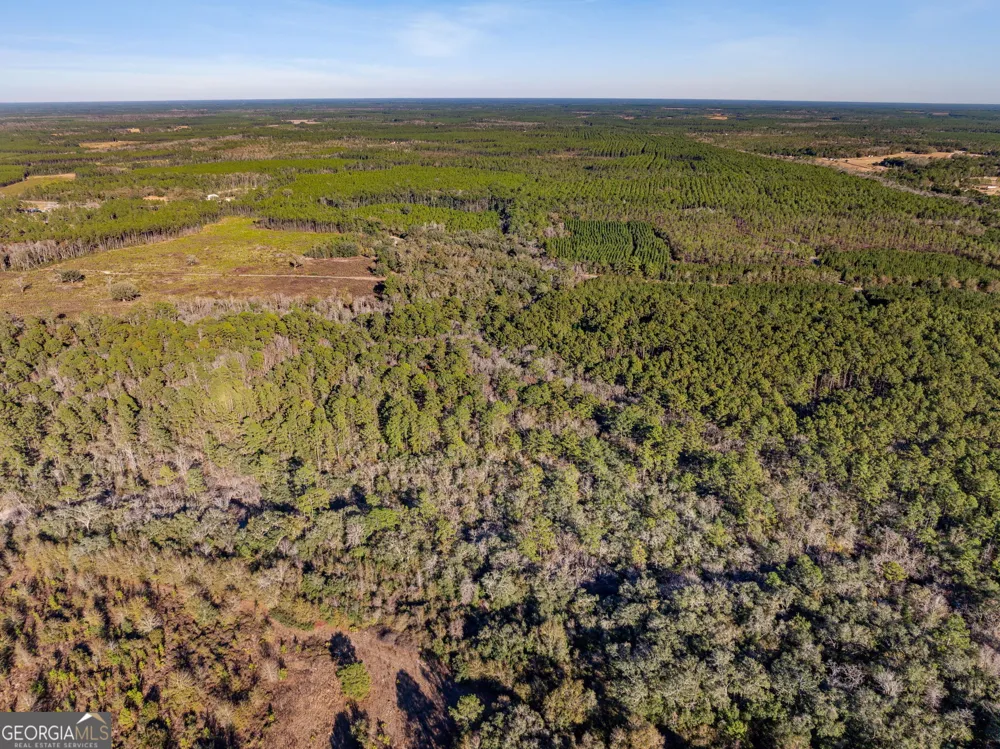 0 State Road 185 St. George, GA 31562