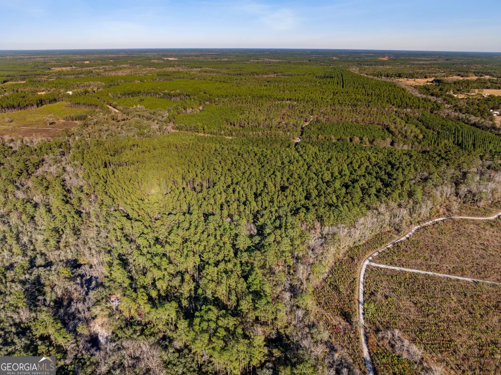0 State Road 185 St. George, GA 31562