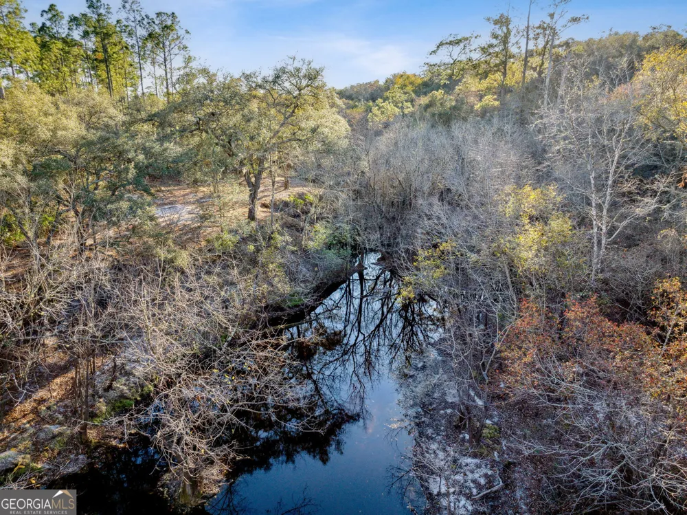 0 State Road 185 St. George, GA 31562