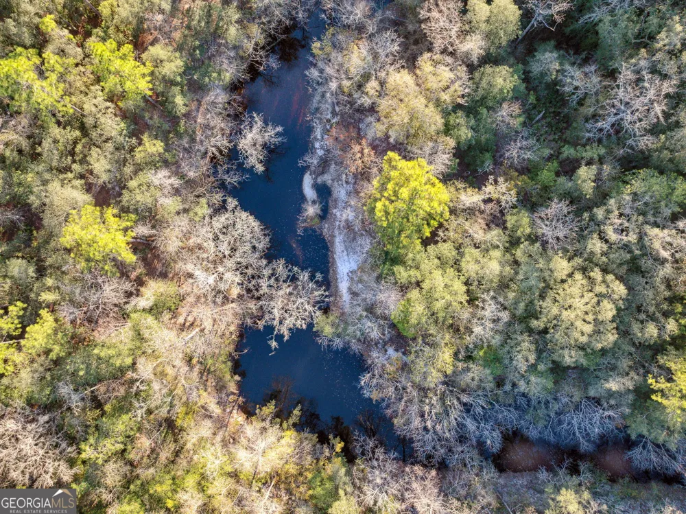 0 State Road 185 St. George, GA 31562