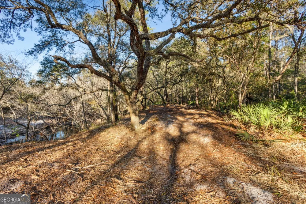 0 State Road 185 St. George, GA 31562