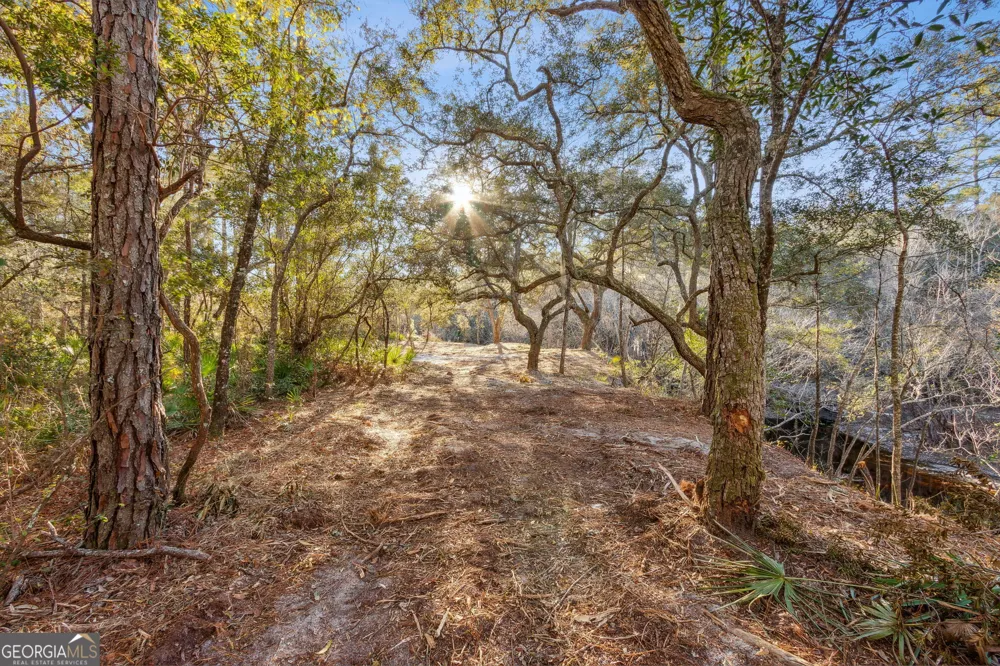 0 State Road 185 St. George, GA 31562