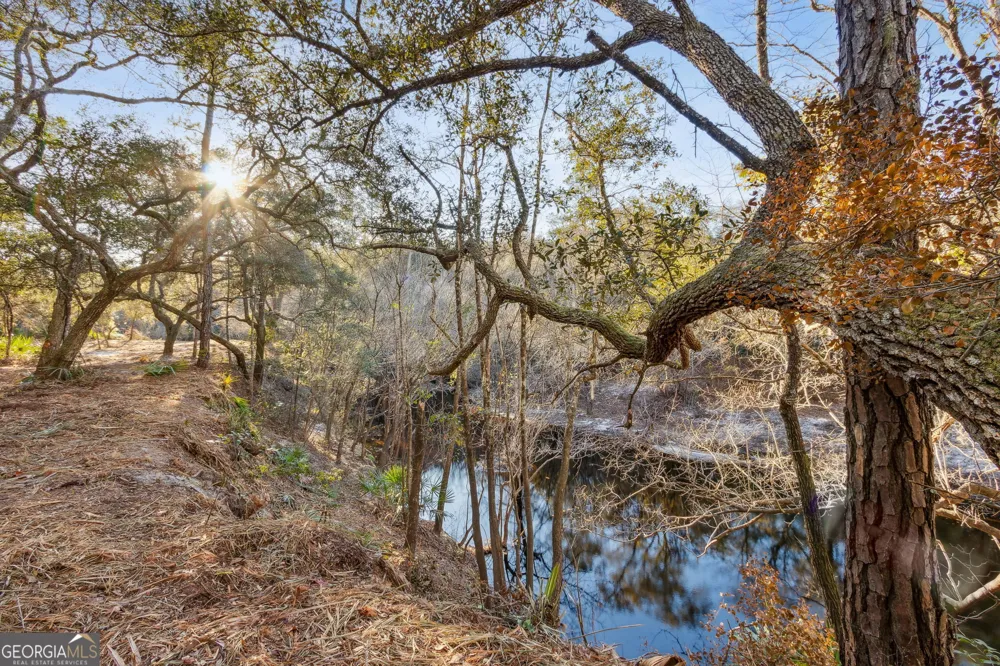 0 State Road 185 St. George, GA 31562