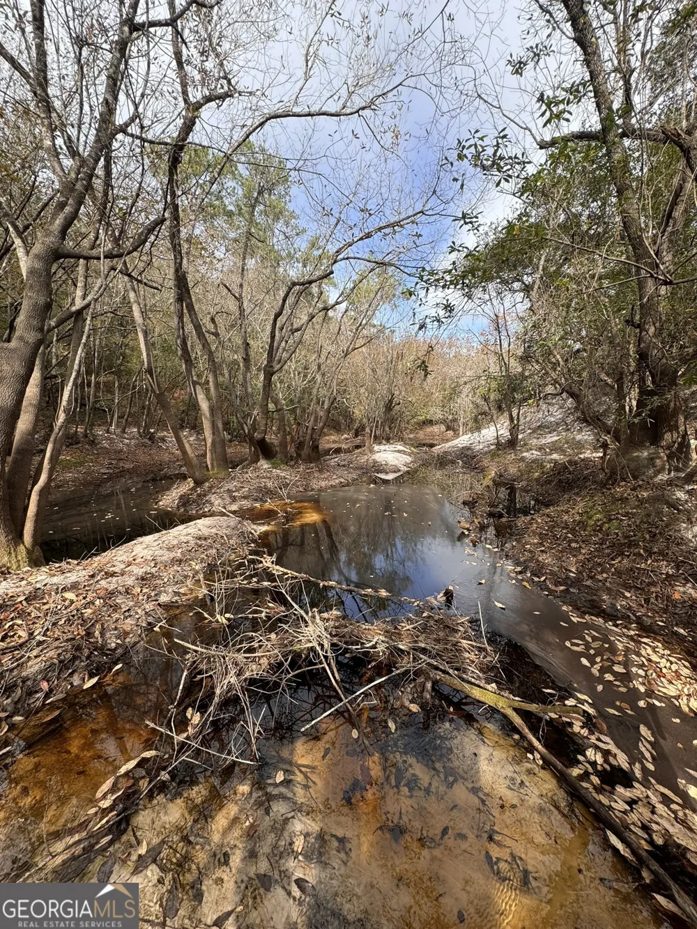 0 State Road 185 St. George, GA 31562