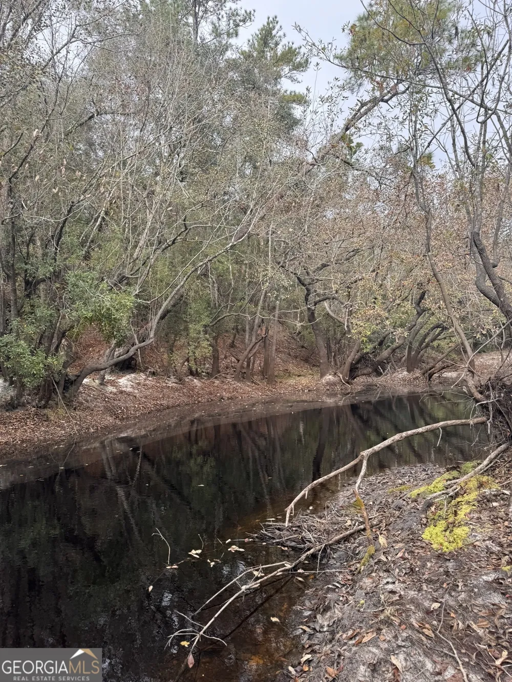 0 State Road 185 St. George, GA 31562