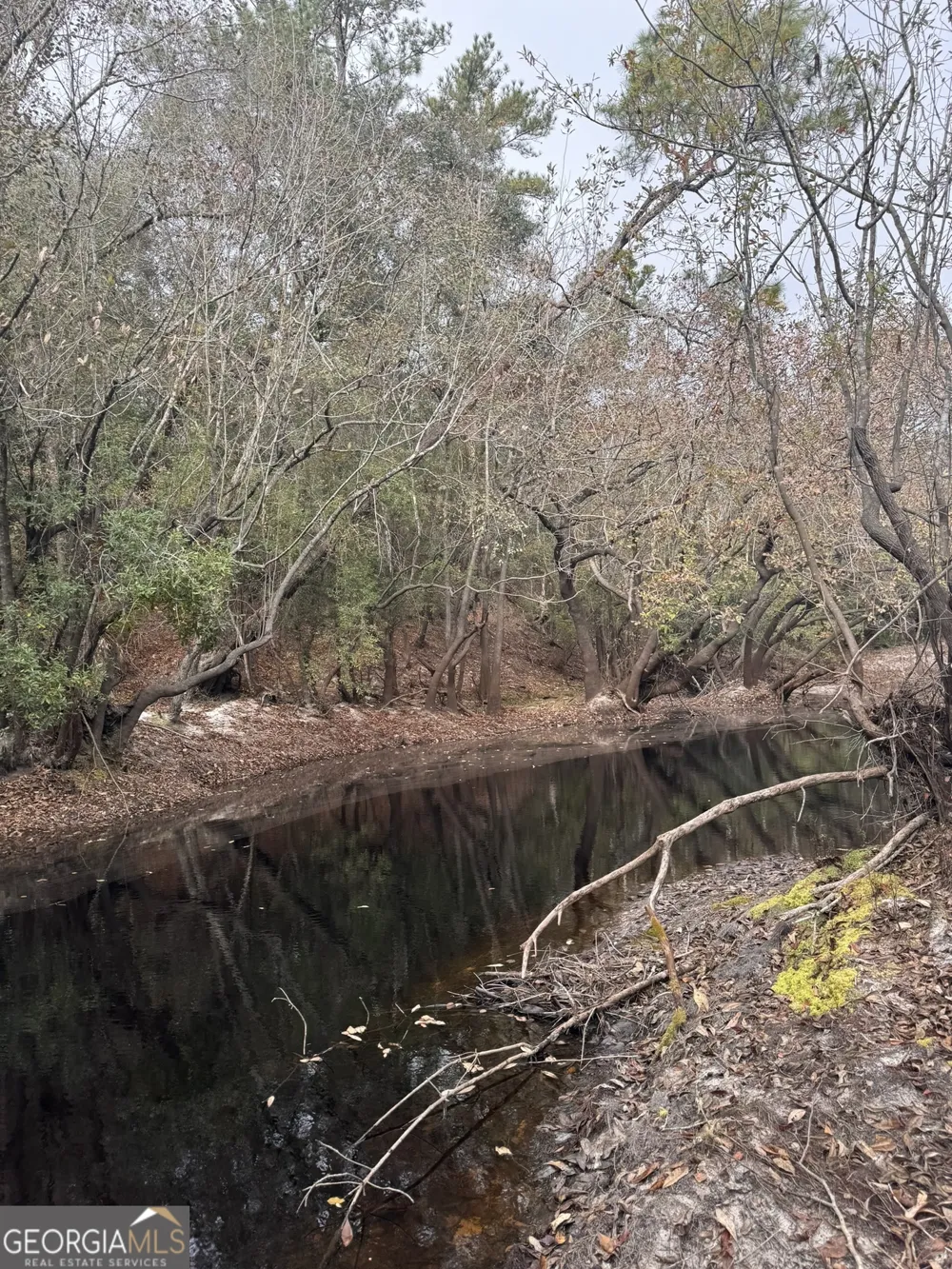 0 State Road 185 St. George, GA 31562