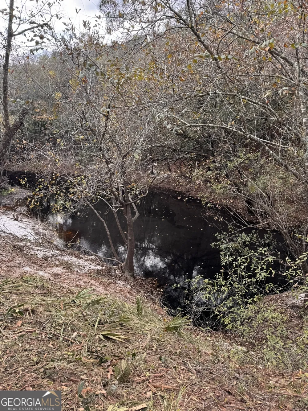 0 State Road 185 St. George, GA 31562
