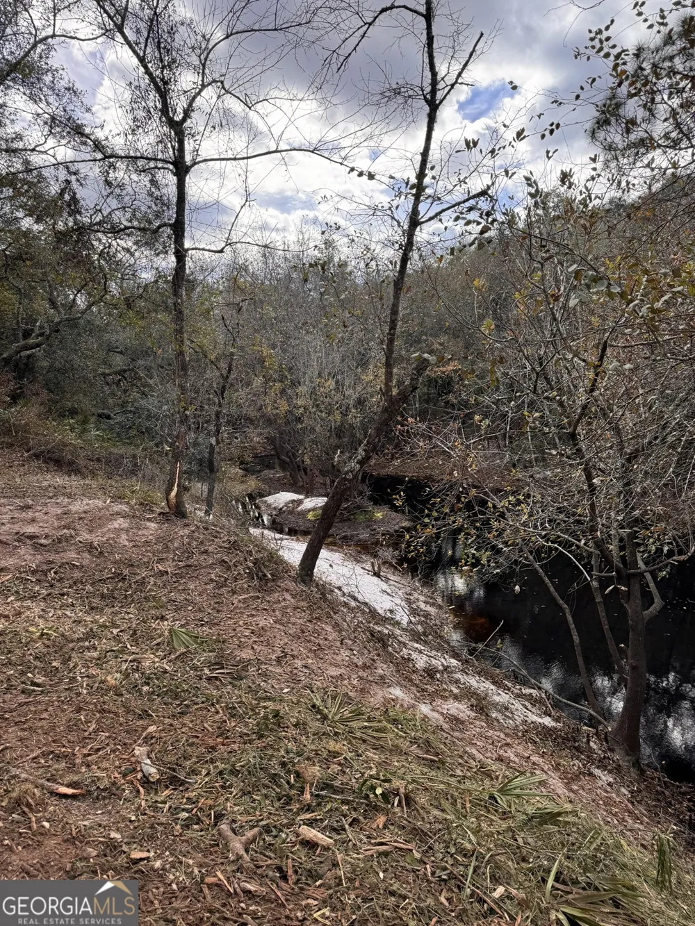 0 State Road 185 St. George, GA 31562