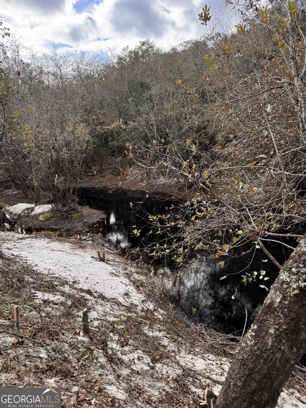 0 State Road 185 St. George, GA 31562