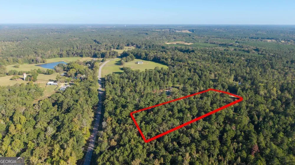 1081 Eagle Way DR Greensboro, GA 30642