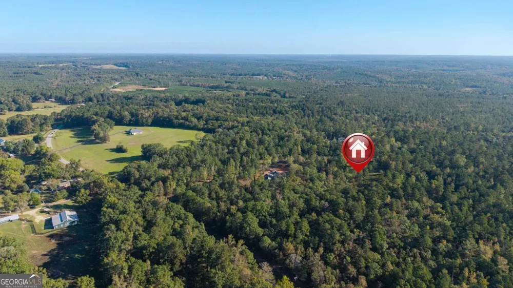 1081 Eagle Way DR Greensboro, GA 30642