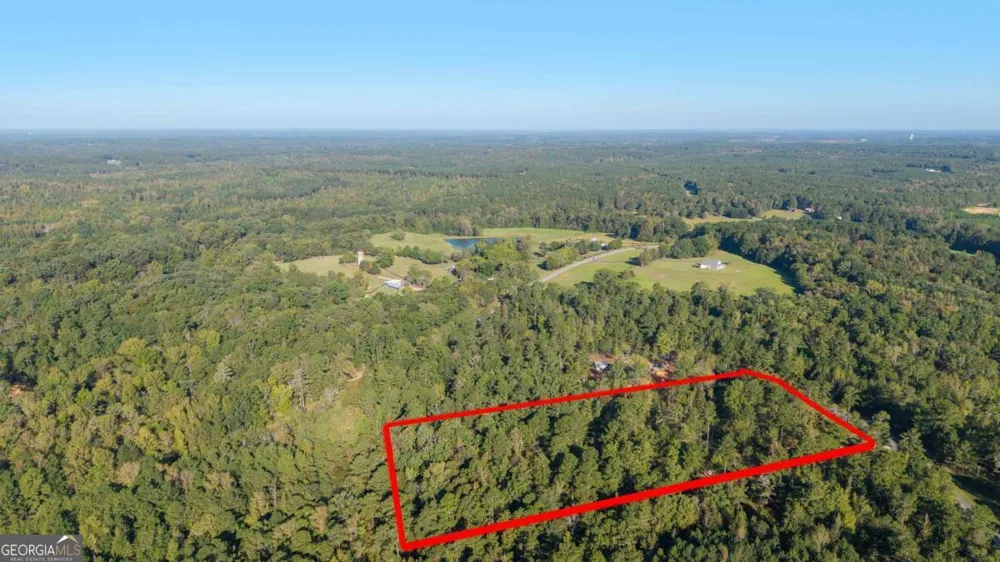 1081 Eagle Way DR Greensboro, GA 30642