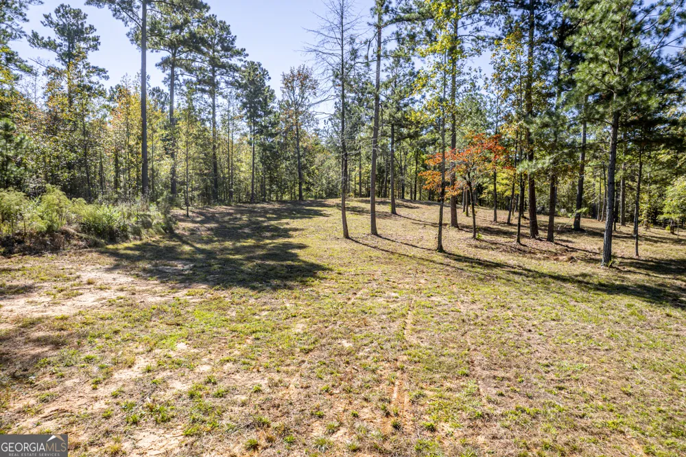 1081 Eagle Way DR Greensboro, GA 30642