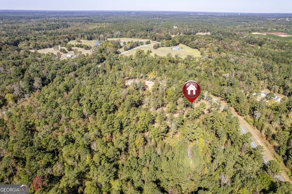 1081 Eagle Way DR Greensboro, GA 30642