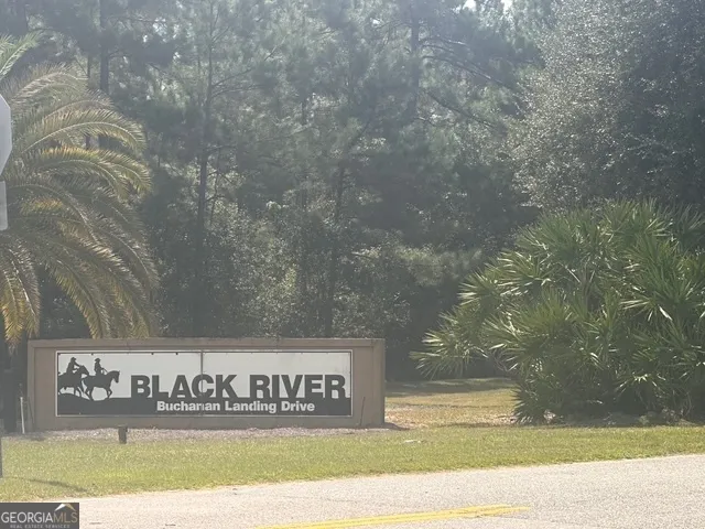 12 Buchanan Landing DR Folkston, GA 31537
