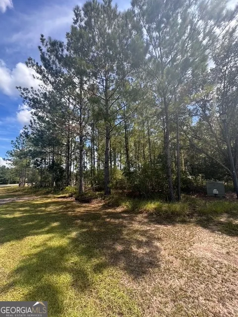 12 Buchanan Landing DR Folkston, GA 31537