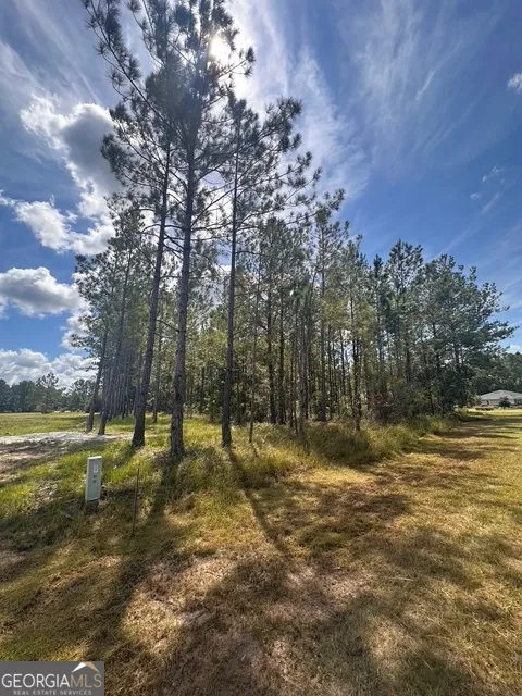 12 Buchanan Landing DR Folkston, GA 31537