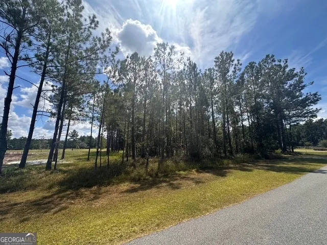 12 Buchanan Landing DR Folkston, GA 31537