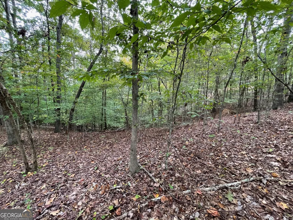 LOT 296 Oconee AVE Westminster, SC 29693