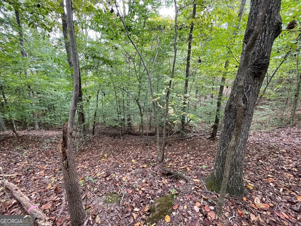 LOT 296 Oconee AVE Westminster, SC 29693