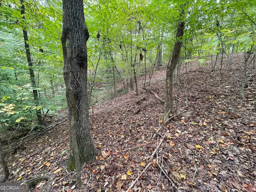 LOT 296 Oconee AVE Westminster, SC 29693