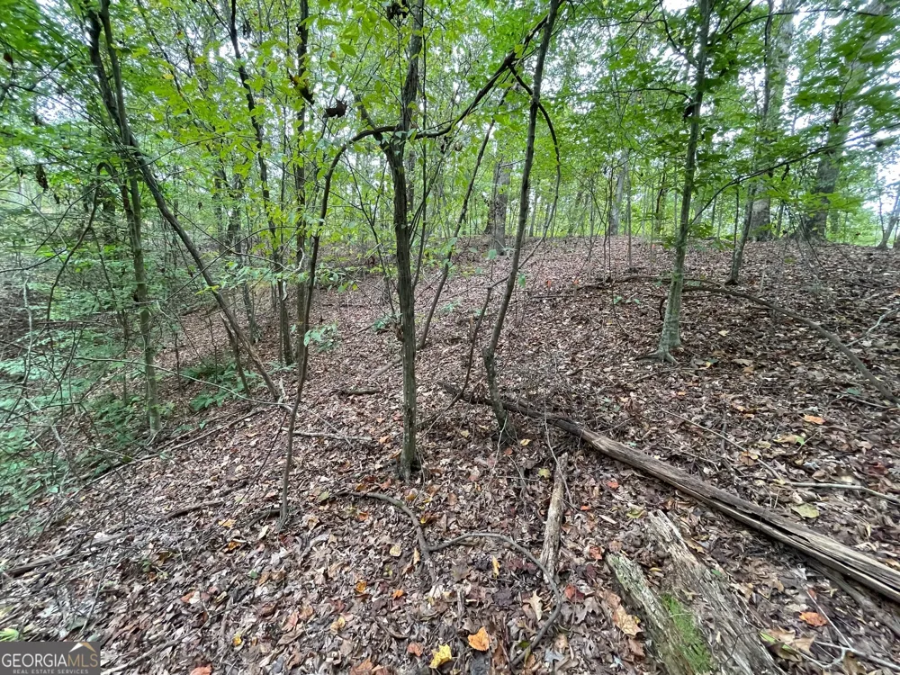 LOT 296 Oconee AVE Westminster, SC 29693