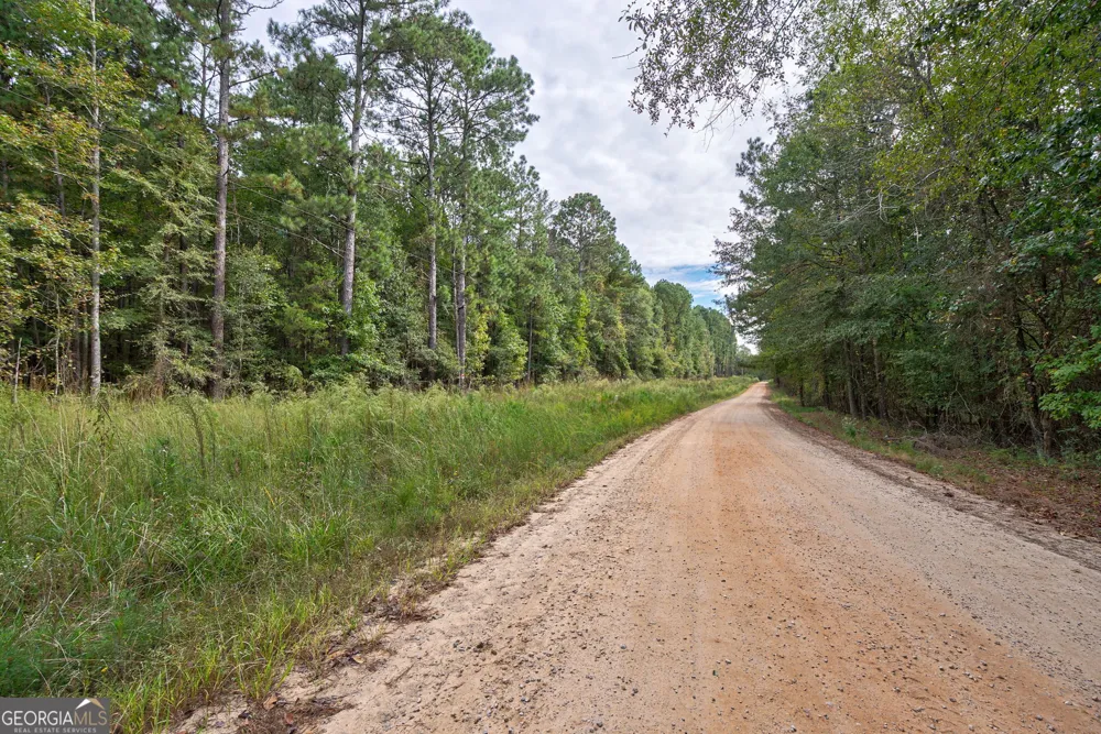 0 Lower Wirebridge RD Stephens, GA 30667