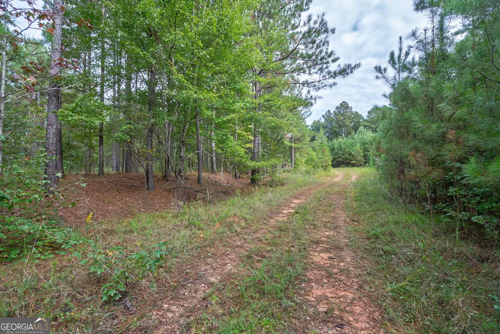 0 Lower Wirebridge RD Stephens, GA 30667
