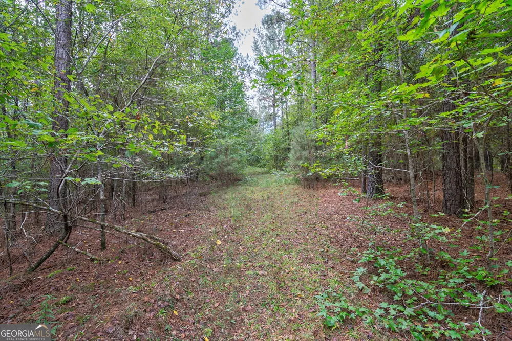 0 Lower Wirebridge RD Stephens, GA 30667