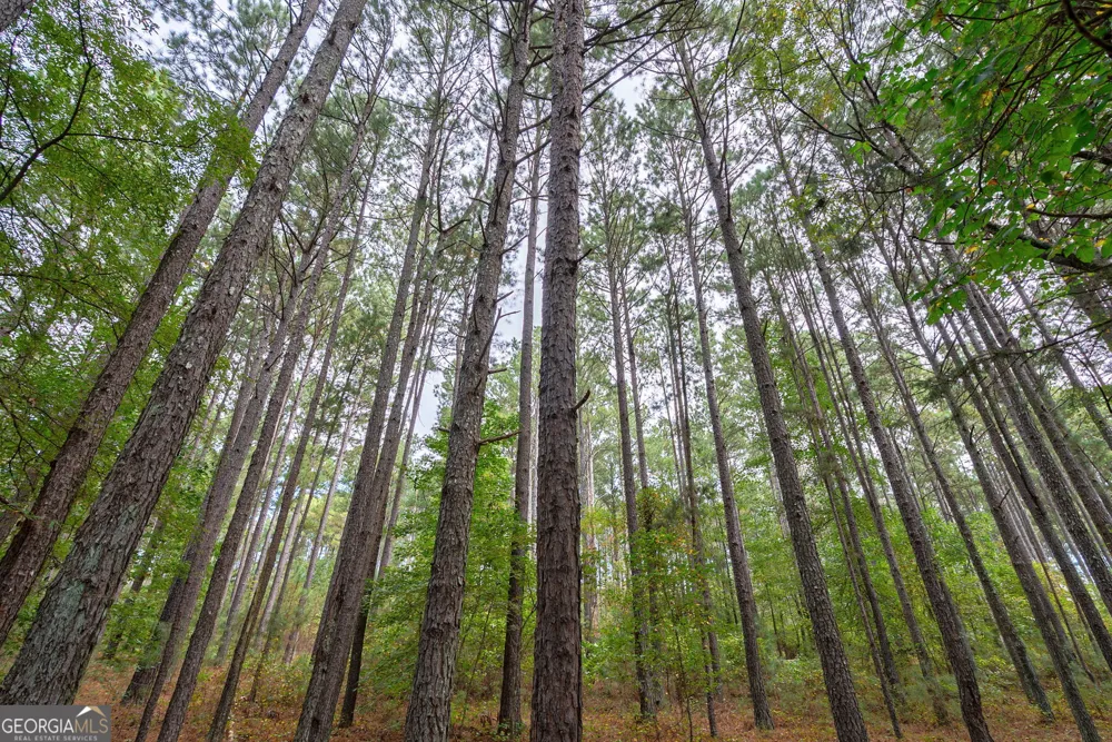 0 Lower Wirebridge RD Stephens, GA 30667