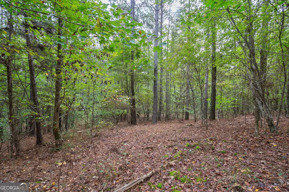 0 Lower Wirebridge RD Stephens, GA 30667