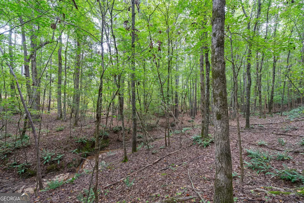 0 Lower Wirebridge RD Stephens, GA 30667