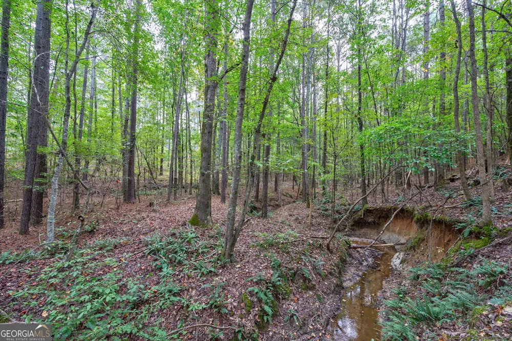 0 Lower Wirebridge RD Stephens, GA 30667