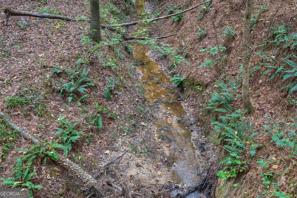 0 Lower Wirebridge RD Stephens, GA 30667
