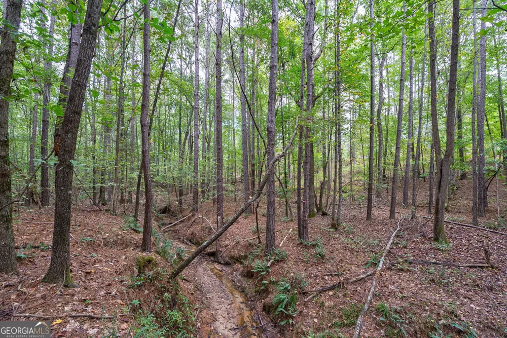 0 Lower Wirebridge RD Stephens, GA 30667
