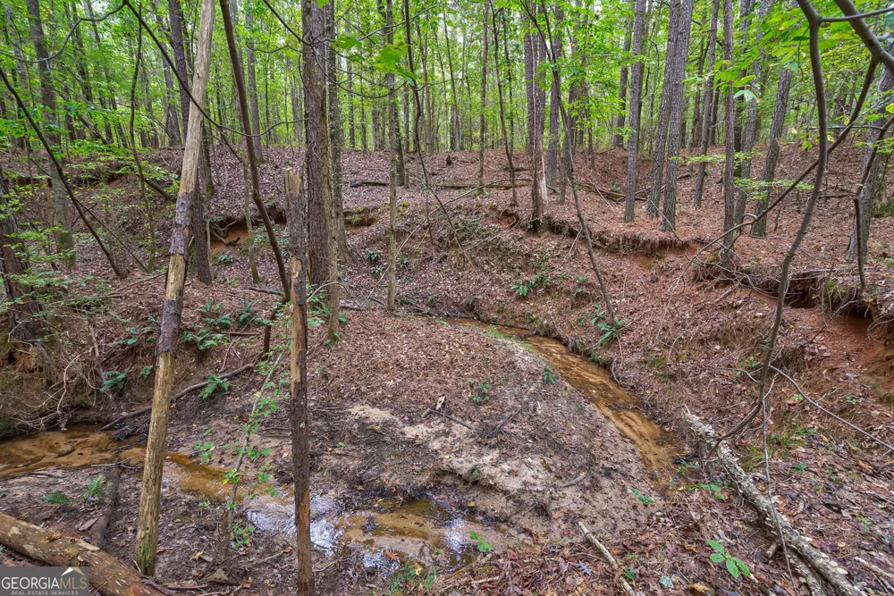 0 Lower Wirebridge RD Stephens, GA 30667