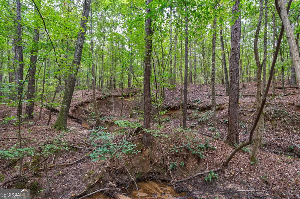 0 Lower Wirebridge RD Stephens, GA 30667