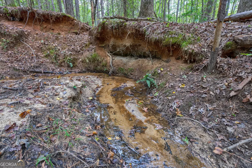 0 Lower Wirebridge RD Stephens, GA 30667