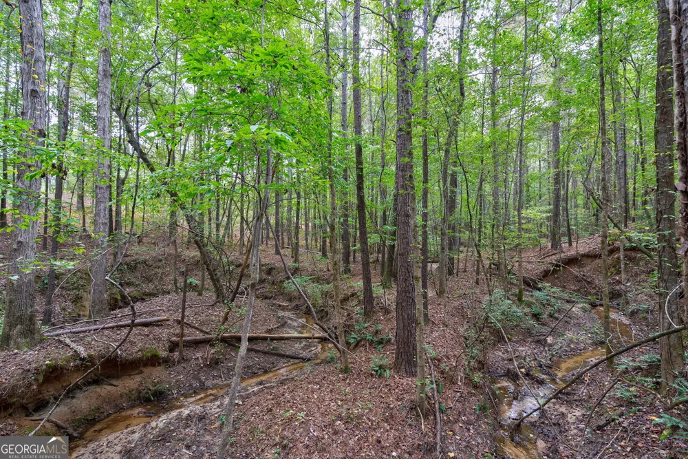 0 Lower Wirebridge RD Stephens, GA 30667