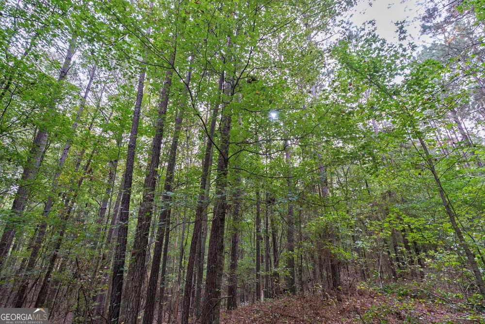 0 Lower Wirebridge RD Stephens, GA 30667